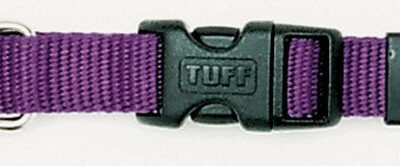 Coastal Adjustable Nylon Dog Collar with Plastic Buckle Purple 1ea/3/8 In X 8-12 in