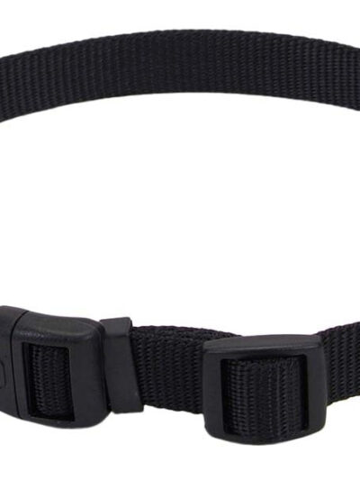 Coastal Adjustable Nylon Dog Collar with Plastic Buckle Black 1ea/3/4 In X 14-20 in