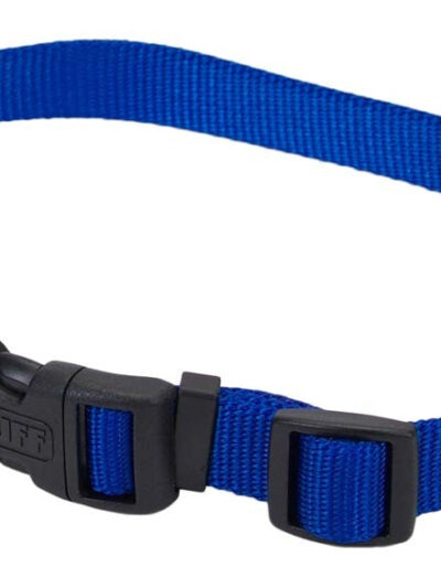 Coastal Adjustable Nylon Dog Collar with Plastic Buckle Blue 1ea/3/4 In X 14-20 in