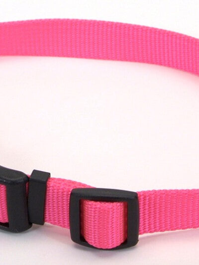 Coastal Adjustable Nylon Dog Collar with Plastic Buckle Neon Pink 1ea/3/4 In X 14-20 in