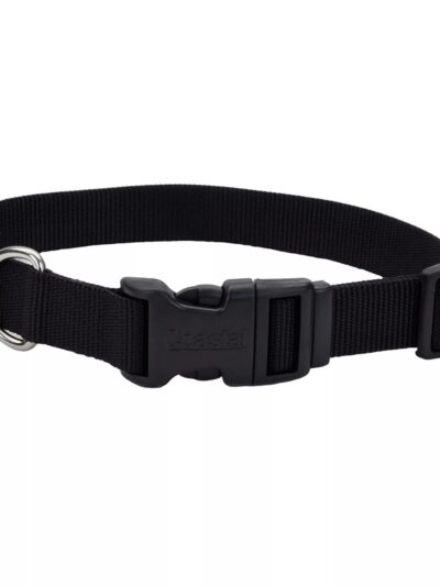 Coastal Adjustable Dog Collar with Plastic Buckle Large 1" X 18"-26"