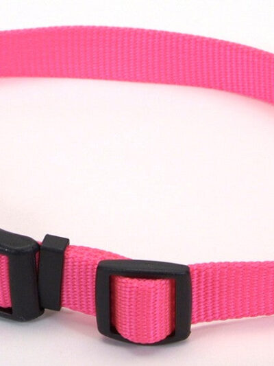 Coastal Adjustable Nylon Dog Collar with Plastic Buckle Neon Pink 1ea/1 In X 18-26 in