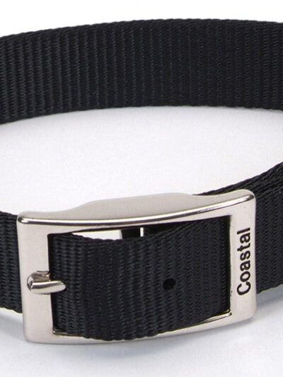 Coastal Single-Ply Nylon Dog Collar Black 1ea/1 In X 18 in