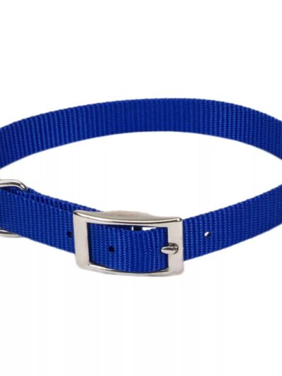 Coastal Single-Ply Nylon Collar Blue 1X22In