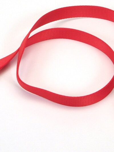 Coastal Single-Ply Nylon Dog Leash Red 1ea/1 In X 4 ft