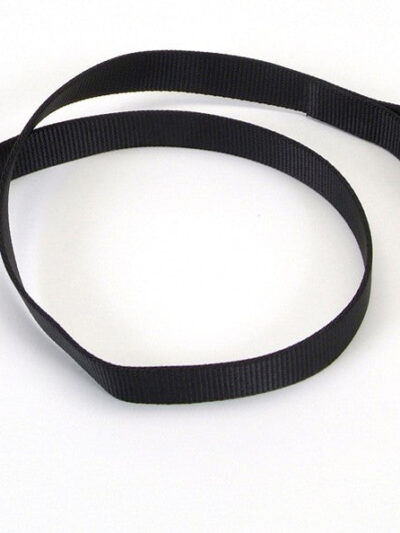 Coastal Single-Ply Nylon Dog Leash Black 1ea/1 In X 6 ft