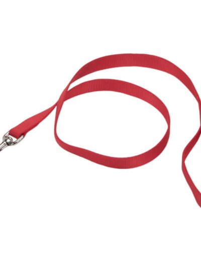 Coastal Single-Ply Nylon Dog Leash Red 1ea/1 In X 6 ft
