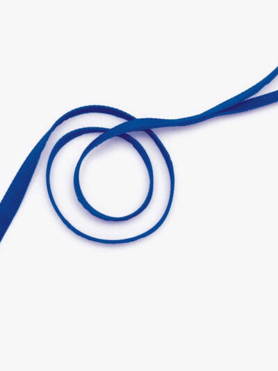 Coastal Single-Ply Nylon Dog Leash Blue 1ea/1 In X 6 ft
