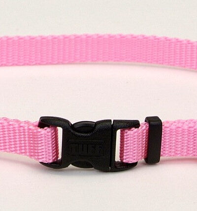 Coastal Adjustable Nylon Dog Collar with Plastic Buckle Bright Pink 1ea/3/8 In X 8-12 in