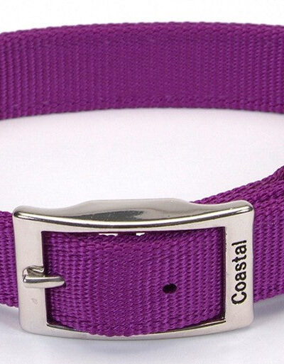 Coastal Double-Ply Nylon Dog Collar Purple 1ea/1 In X 20 in