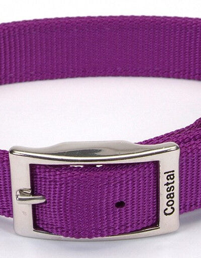 Coastal Double-Ply Nylon Collar Purple 1X22In