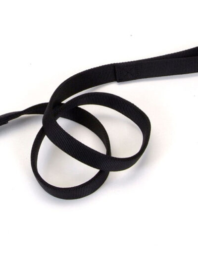Coastal Double-Ply Nylon Dog Leash Black 1ea/1 In X 4 ft