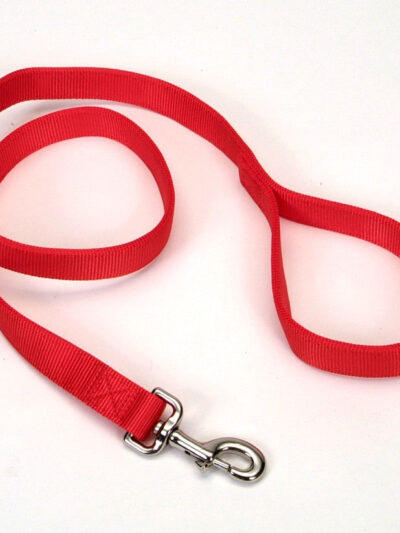 Coastal Double-Ply Nylon Dog Leash Red 1ea/1 In X 4 ft