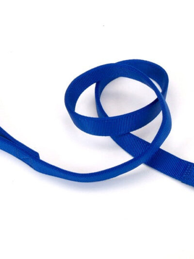 Coastal Double-Ply Nylon Dog Leash Blue 1ea/1 In X 4 ft