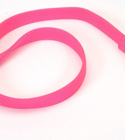 Coastal Double-Ply Nylon Dog Leash Neon Pink 1ea/1 In X 4 ft