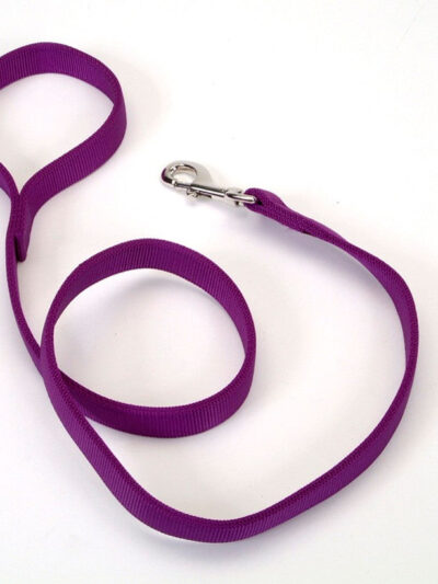 Coastal Double-Ply Nylon Dog Leash Purple 1ea/1 In X 4 ft