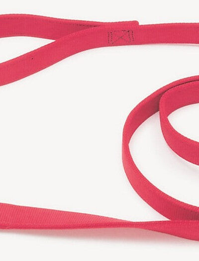 Coastal Double-Ply Nylon Dog Leash Red 1ea/1 In X 6 ft