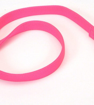 Coastal Double-Ply Nylon Dog Leash Neon Pink 1ea/1 In X 6 ft