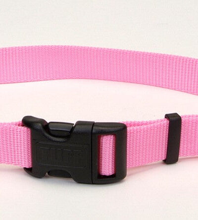 Coastal Adjustable Nylon Dog Collar with Plastic Buckle Bright Pink 1ea/1 In X 18-26 in
