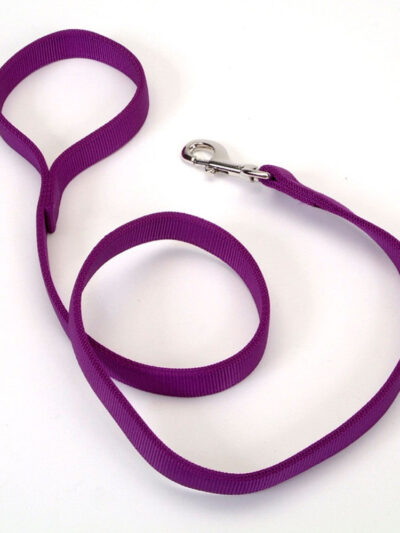 Coastal Double-Ply Nylon Dog Leash Purple 1ea/1 In X 6 ft
