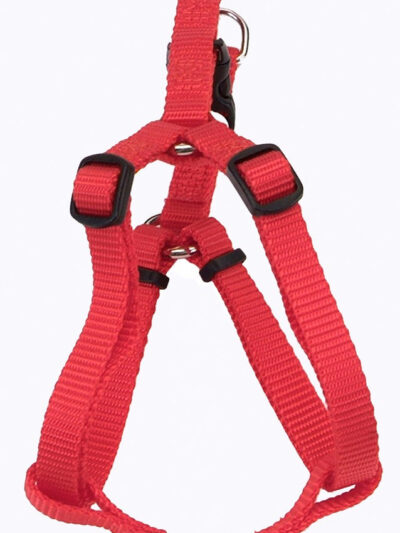 Comfort Wrap Adjustable Nylon Dog Harness Red 1ea/MD, 3/4In X 20-30 in
