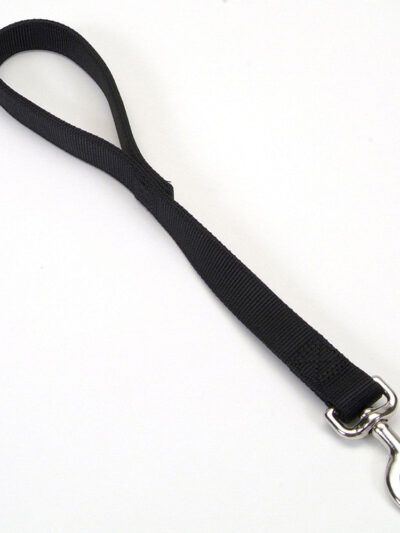 Coastal Double-Ply Nylon Traffic Dog Leash Black 1ea/1 In X 24 in