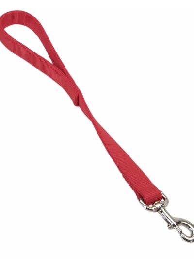 Coastal Double-Ply Nylon Traffic Dog Leash Red 1ea/1 In X 24 in