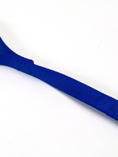 Coastal Double-Ply Nylon Traffic Dog Leash Blue 1ea/1 In X 24 in