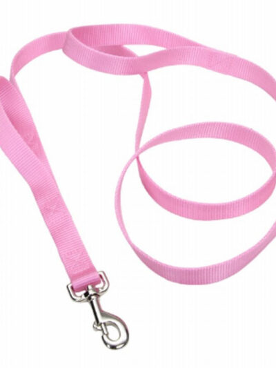 Coastal Single-Ply Nylon Leash Bright Pink1X4Ft