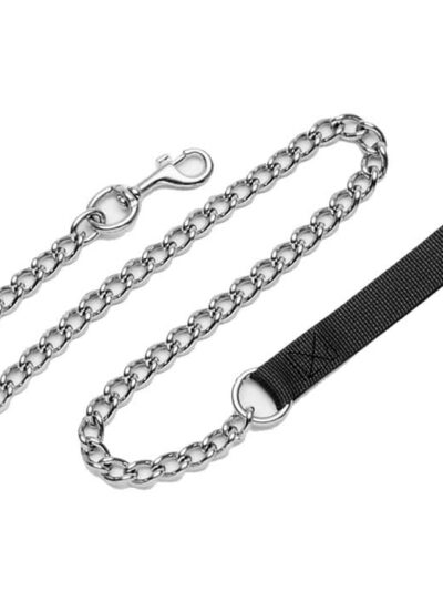 Titan Chain Dog Leash with Nylon Handle Red 1ea/2 Mm X 4 ft