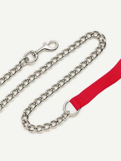Titan Chain Dog Leash with Nylon Handle Red 1ea/3 Mm X 4 ft