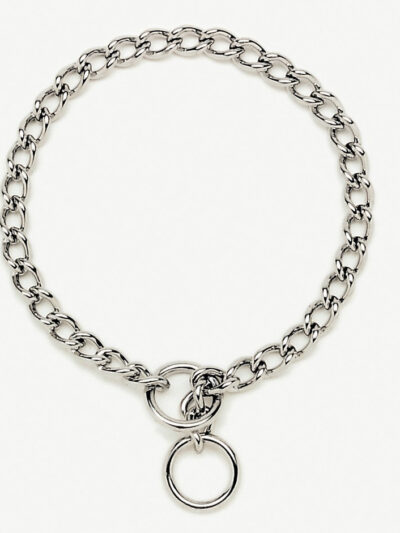 Titan Chain Training Dog Collar X-Fine Nickel, Chrome 1ea/1.5 Mm X 12 in