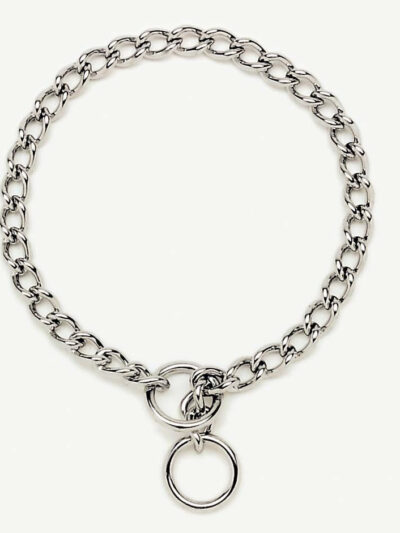 Titan Chain Training Dog Collar Fine Nickel, Chrome 1ea/2 Mm X 12 in