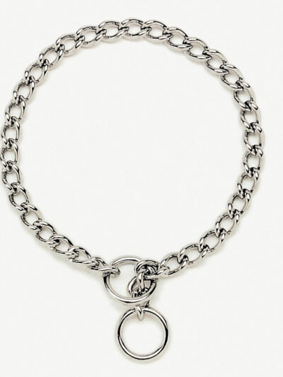 Titan Chain Training Dog Collar Fine Nickel, Chrome 1ea/2 Mm X 16 in