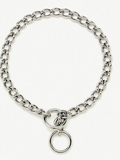 Titan Chain Training Dog Collar Medium Nickel, Chrome 1ea/2.5 Mm X 14 in