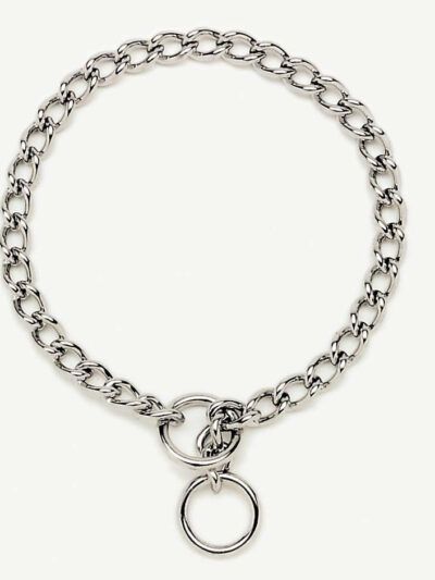 Titan Chain Training Dog Collar Medium Nickel, Chrome 1ea/2.5 Mm X 18 in