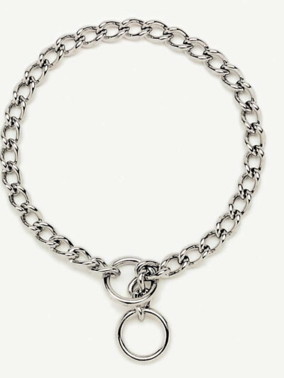 Titan Chain Training Dog Collar Medium Nickel, Chrome 1ea/2.5 Mm X 20 in