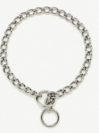 Titan Chain Training Dog Collar Medium Nickel, Chrome 1ea/2.5 Mm X 22 in
