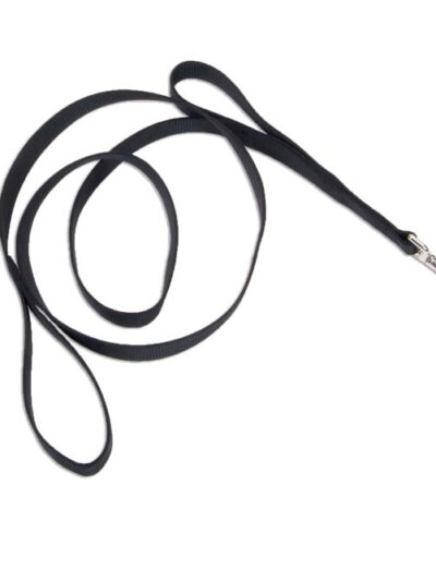 Loops 2 Double Handle Nylon Dog Leash Black 1ea/1 In X 6 ft