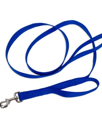 Coastal Loops 2 Double Handle Nylon Leash Blue 1X6Ft