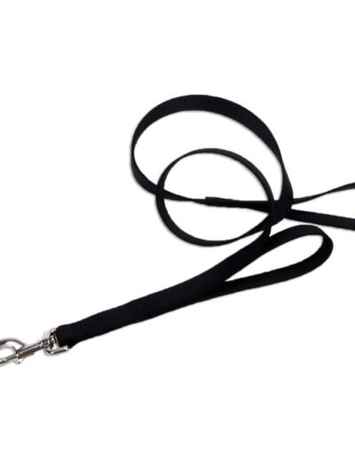 Coastal Loops 2 Double Handle Nylon Leash Black 1X4Ft