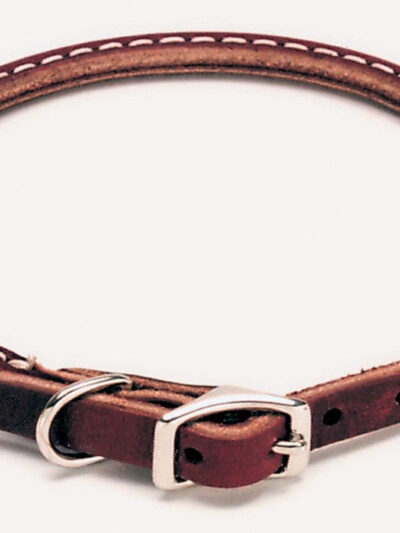 Circle T Latigo Leather Round Dog Collar Brown 1ea/3/8 In X 10 in
