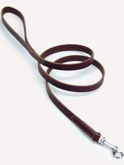 Circle T Latigo Leather Dog Leash Brown 1ea/1 In X 6 ft