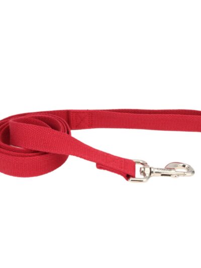 Earth Soy Dog Leash Cranberry 1ea/5/8 In X 6 ft