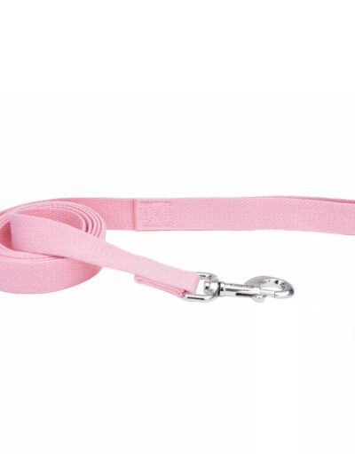 Earth Soy Dog Leash Rose 1ea/5/8 In X 6 ft