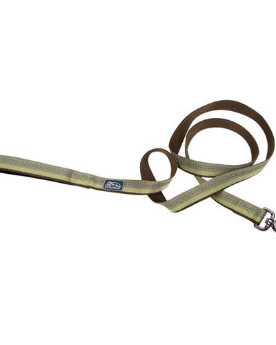 Coastal Pet Products K9 Explorer Reflective Leash With Scissor Snap, 5/8 Inchx6 Fern Green