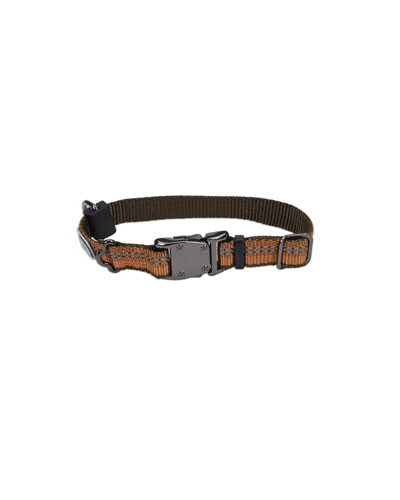 Coastal K9 Explorer 5/8 Inch Adj Collar Camp Fire Orange (10-14 Inch)