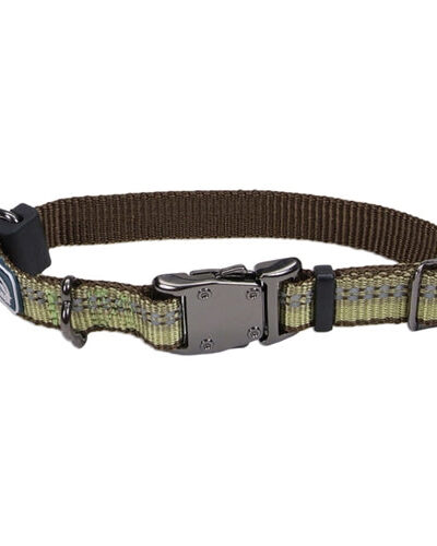 Coastal K9 Explorer 5/8 Inch Adj Collar Fern Green (10-14 Inch)