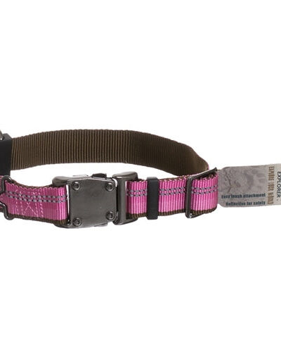 Coastal K9 Explorer 5/8 Inch Adj Collar Rosebud Pink (8-12 Inch)