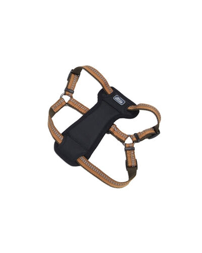 Coastal K9 Explorer 5/8 Inch Padded Harness Goldenrod Yellow (12-18 Inch)